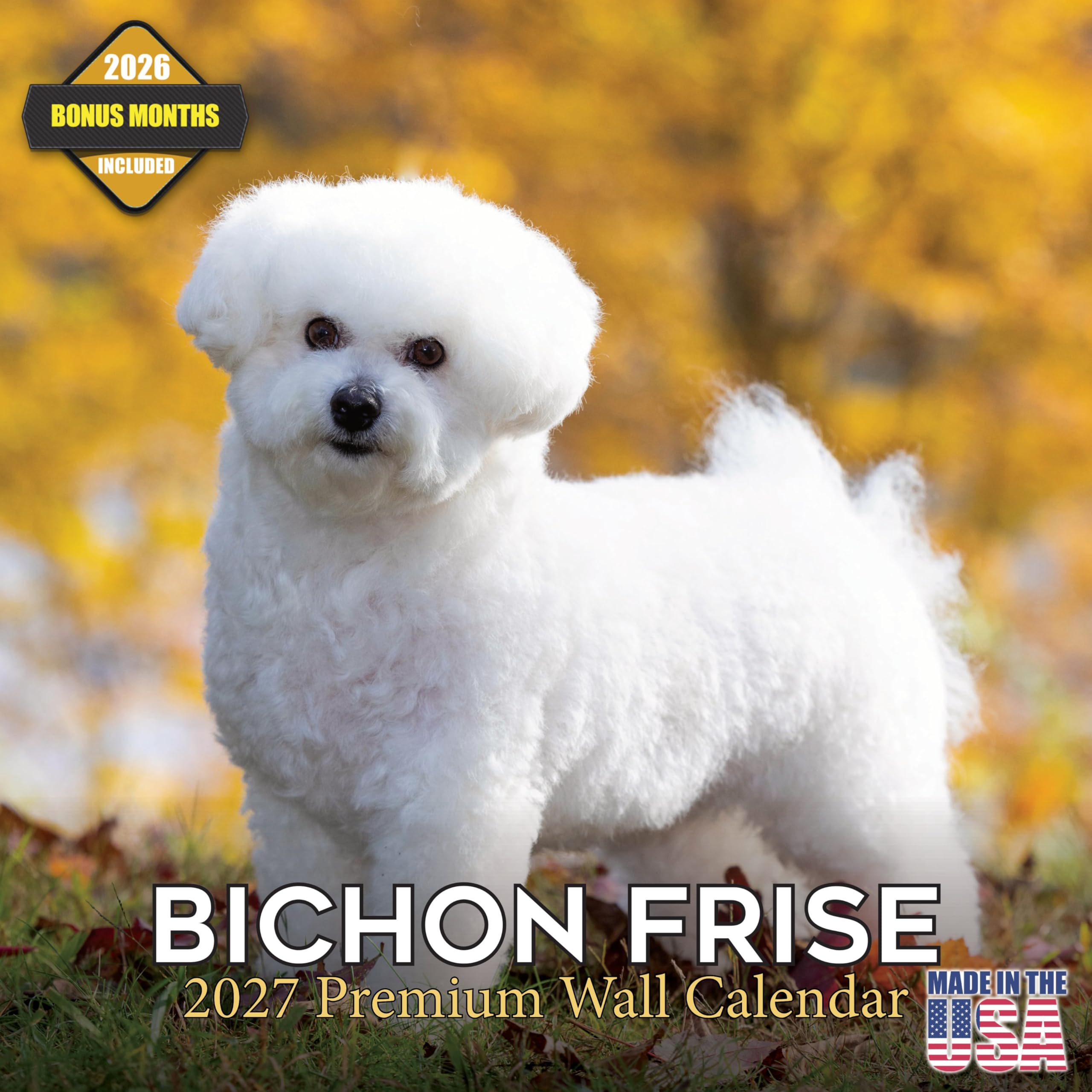 Amazon | 2025 2026 ビションフリーゼカレンダー - 犬種マンスリー
