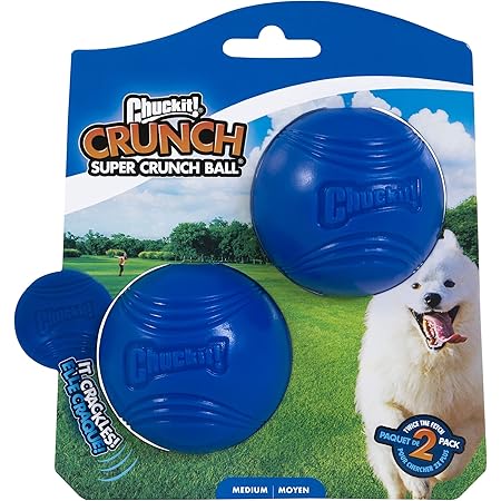 nubby dog ball