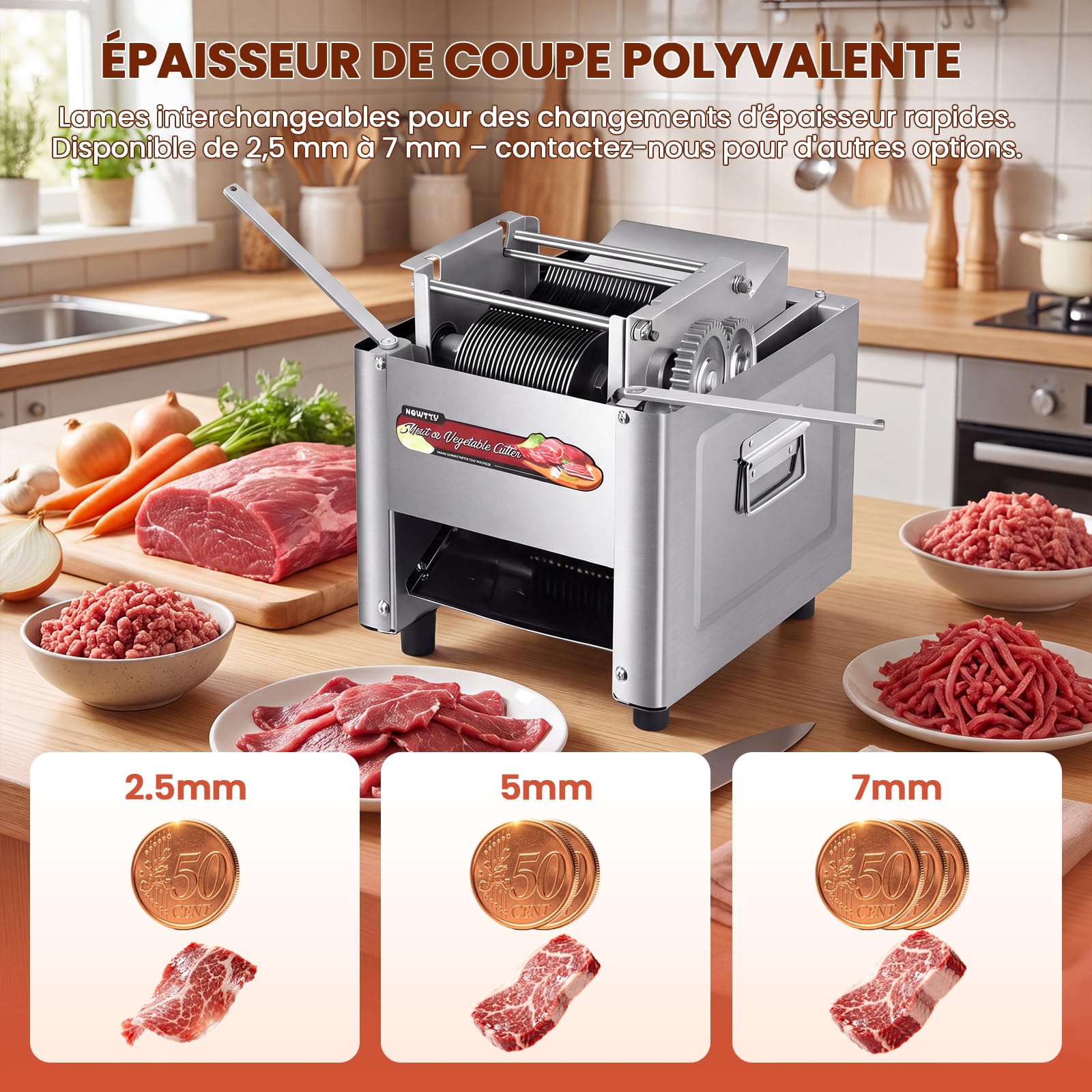 NEWTRY Trancheuse viande électrique commerciale 5mm 750W Gastro | Acier inoxydable, lames interchangeables, moteur puissant, facile à nettoyer, trancheuse pour boucheries et restaurants