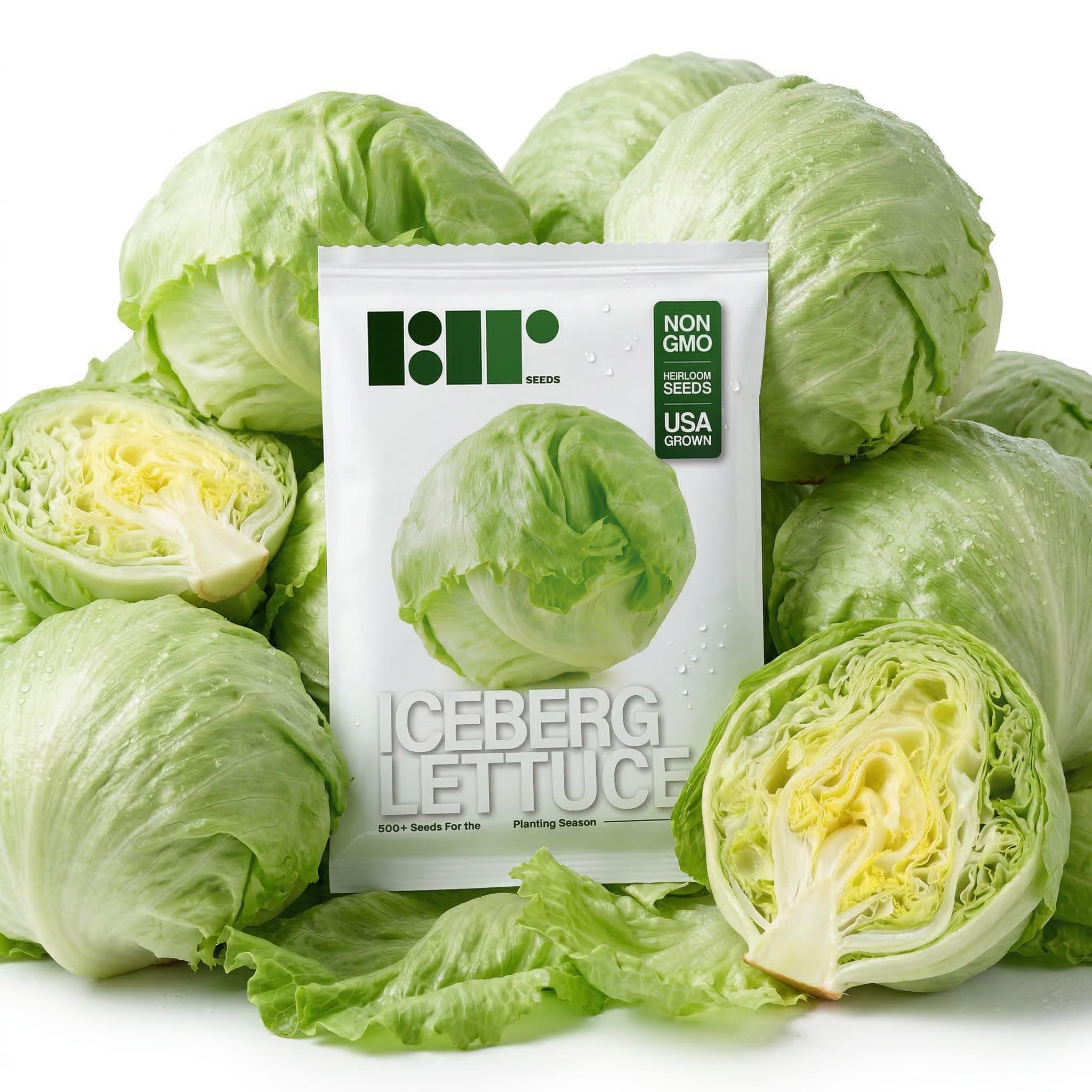 500 Iceberg Lettuce Seeds for planting - Heirloom Non-GMO USA Grown Premium Vegetable Seeds for Planting Home Garden - Crisphead Heading Lettuce Lactuca Sativa by RDR Seeds
