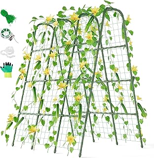 Miory Cucumber Trellis, 63