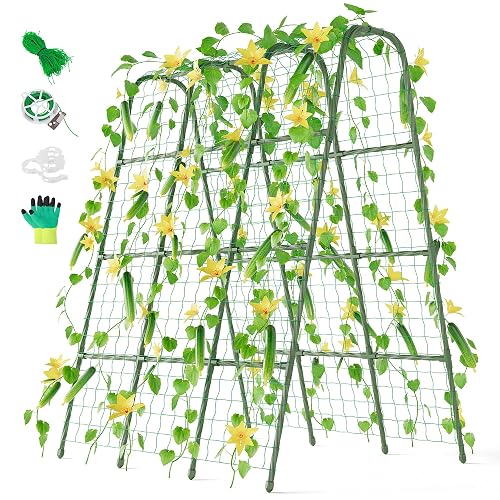 Miory Cucumber Trellis, 63" Tall U Shape Trellis for Raised