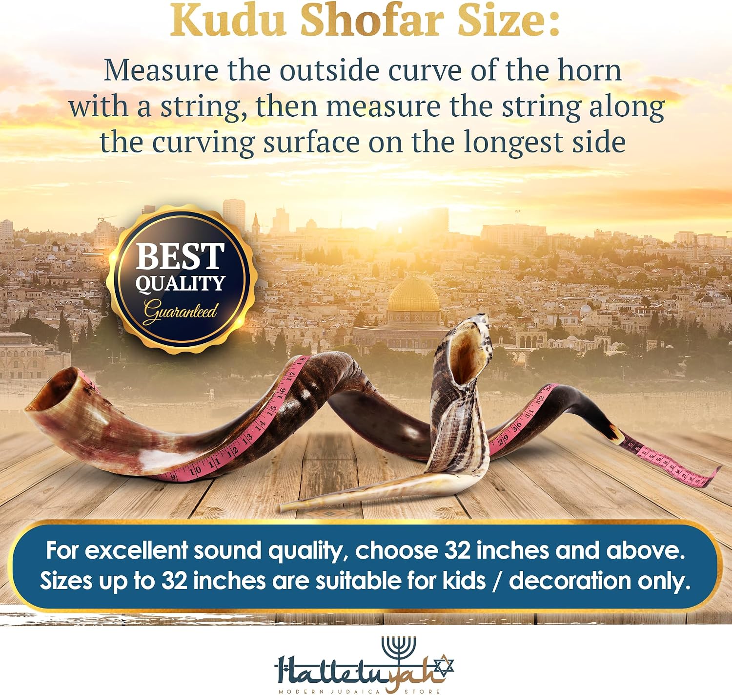 HalleluYAH 32"-35" Yemenite kudu Shofar From Israel Plus Free Bonus Ram-Horn