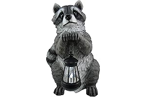 Enchanting Raccoon Statue with Solar LED Lantern: A Guardian for Your Sacred Space