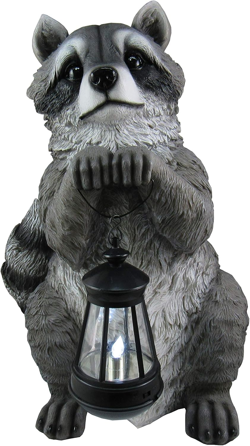 DWK Raccoon Sculpture with LED Outdoor Solar Lantern | Raccon Decor Garden Welcome Statue | Home Patio Solar Decoration | Outdoor Home Decor Yard Decoration - 15"