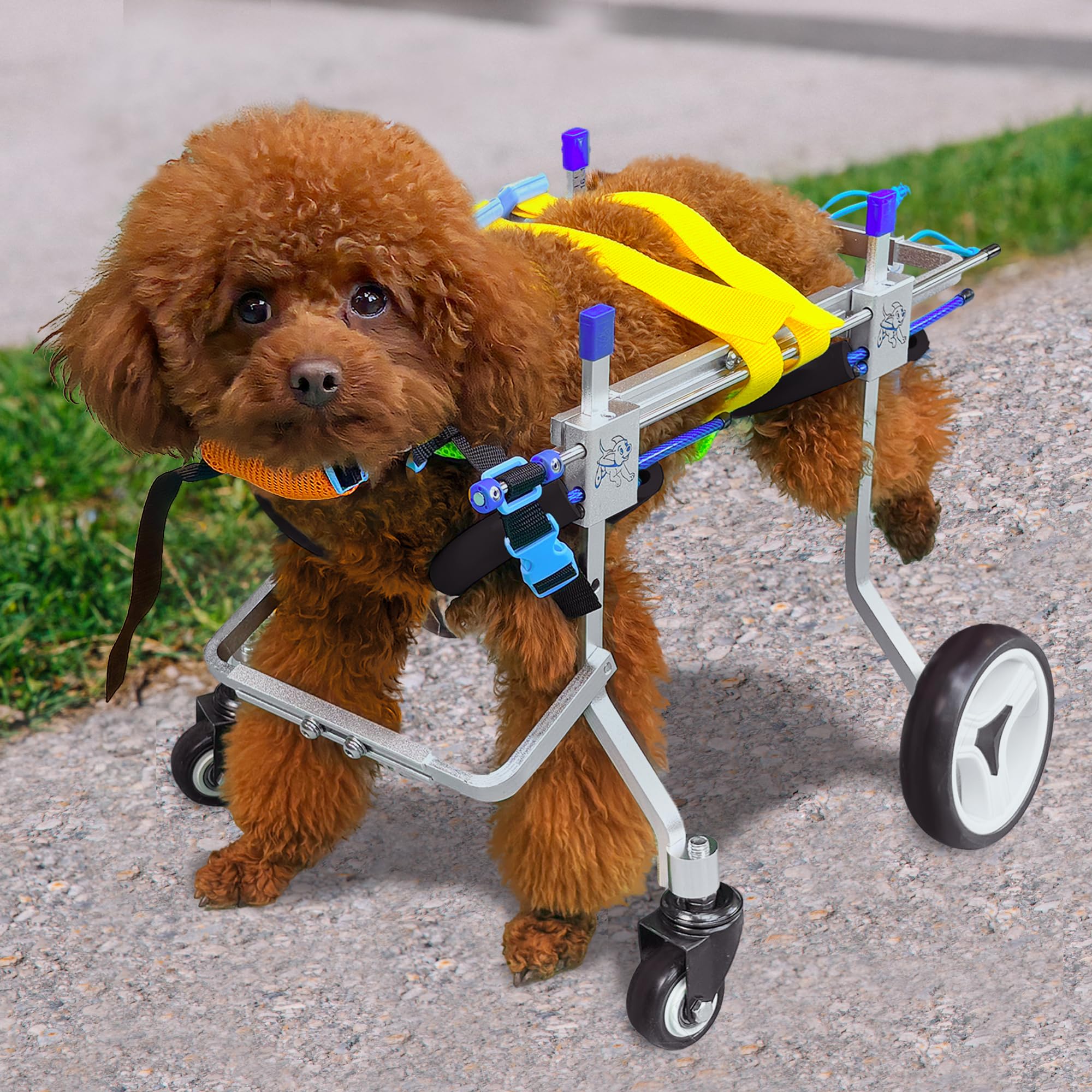 Four-Wheeled Adjustable Dog Wheelchair, Lightweight Mobility Bicycle Trailer for Disabled Pets, Easy to Assemble, Supports Walking and Exercise