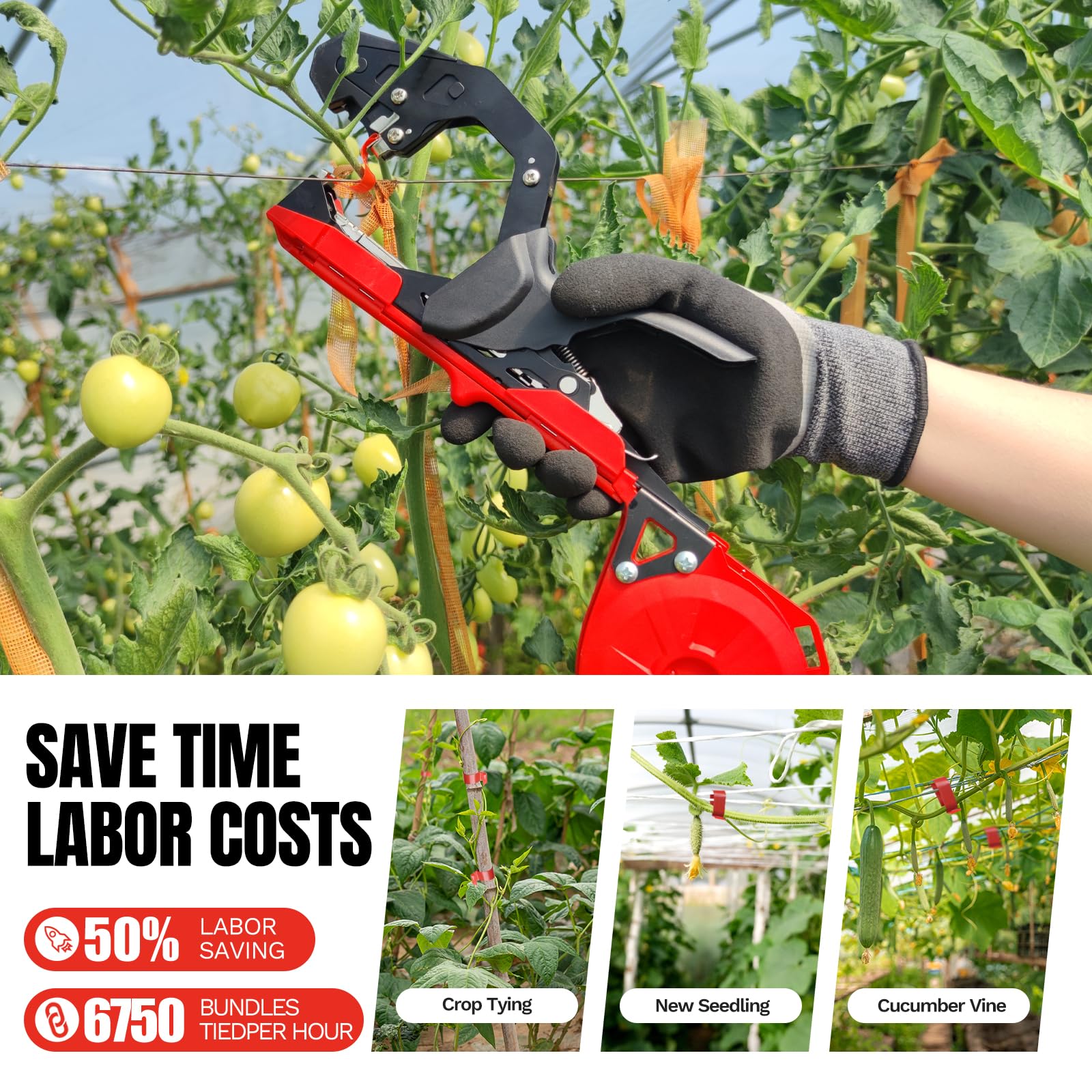 Legatrice Piante Soojook 420g | Con 10000 Graffette E 20 Rotoli Nastro - Per Pomodori/Uva - Foto 2