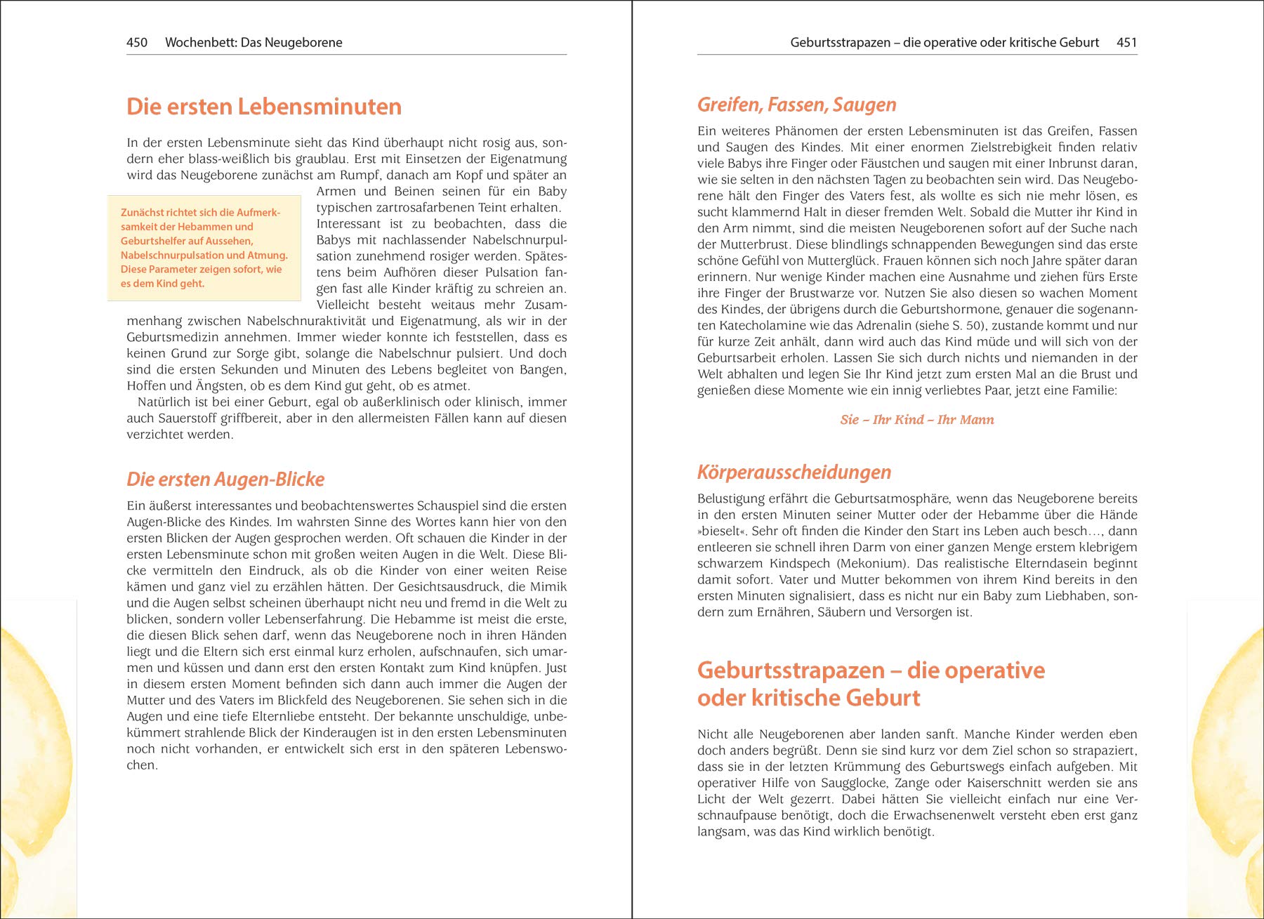 Die Hebammen-Sprechstunde: Ganzheitlicher Ratgeber zu Schwangerschaft, Geburt, Wochenbett und Stillzeit mit natürlichen Heilmethoden