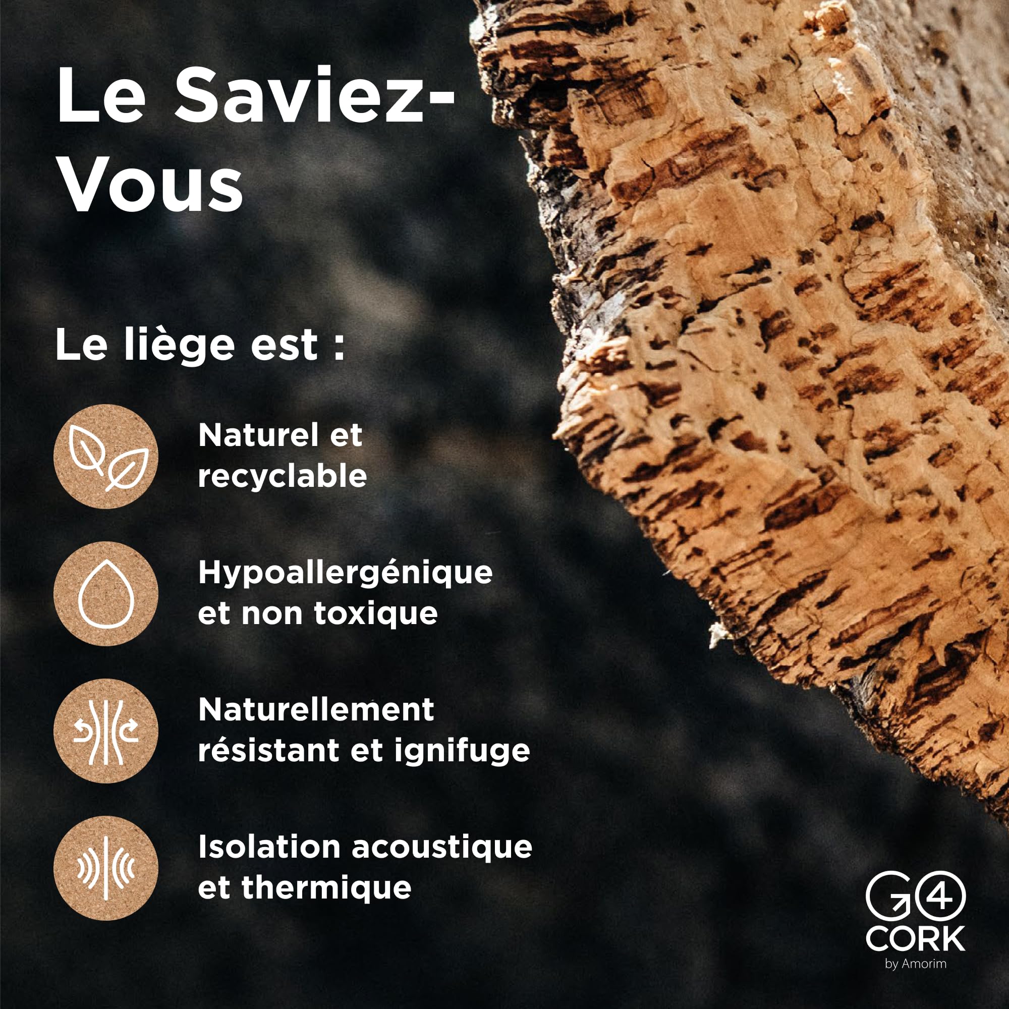 Go4Cork Lot de 4 carreaux carrés en liège – 21,6 x 21,6 cm | Carreaux en liège double face de qualité supérieure | Multifonctions pour les travaux manuels, la maison, la salle de classe