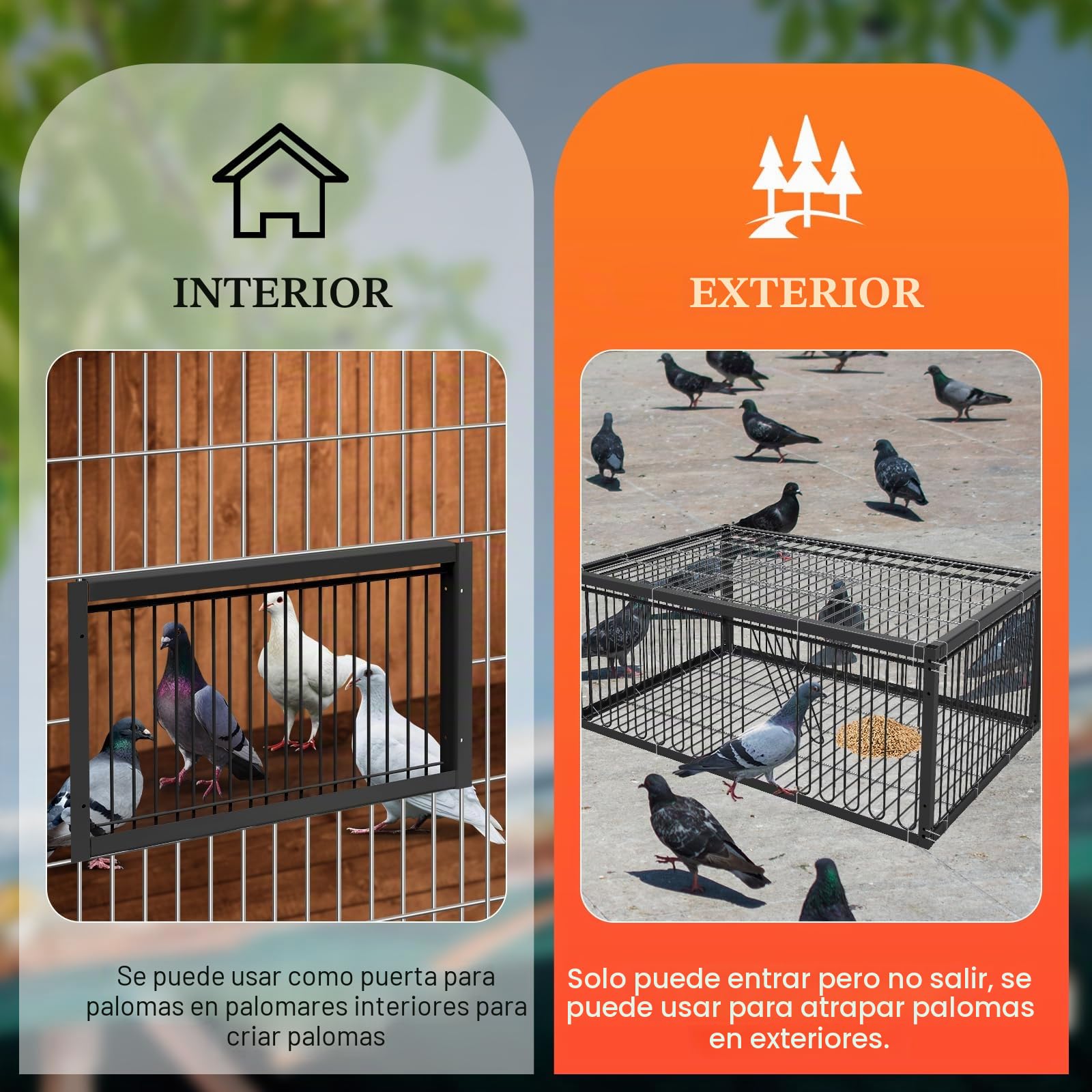 Jaula para palomas, 60 cm, para recoger codornices (negro)