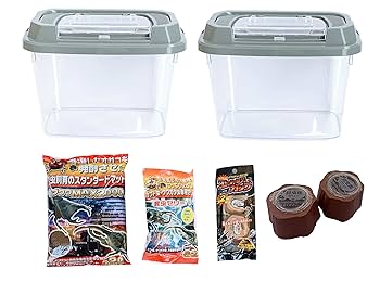 【売り切り特価】クワガタムシ カブトムシ 飼育用品セット Amazon | カブトムシ&クワガタ 飼育セット【 飼育ケース 2個