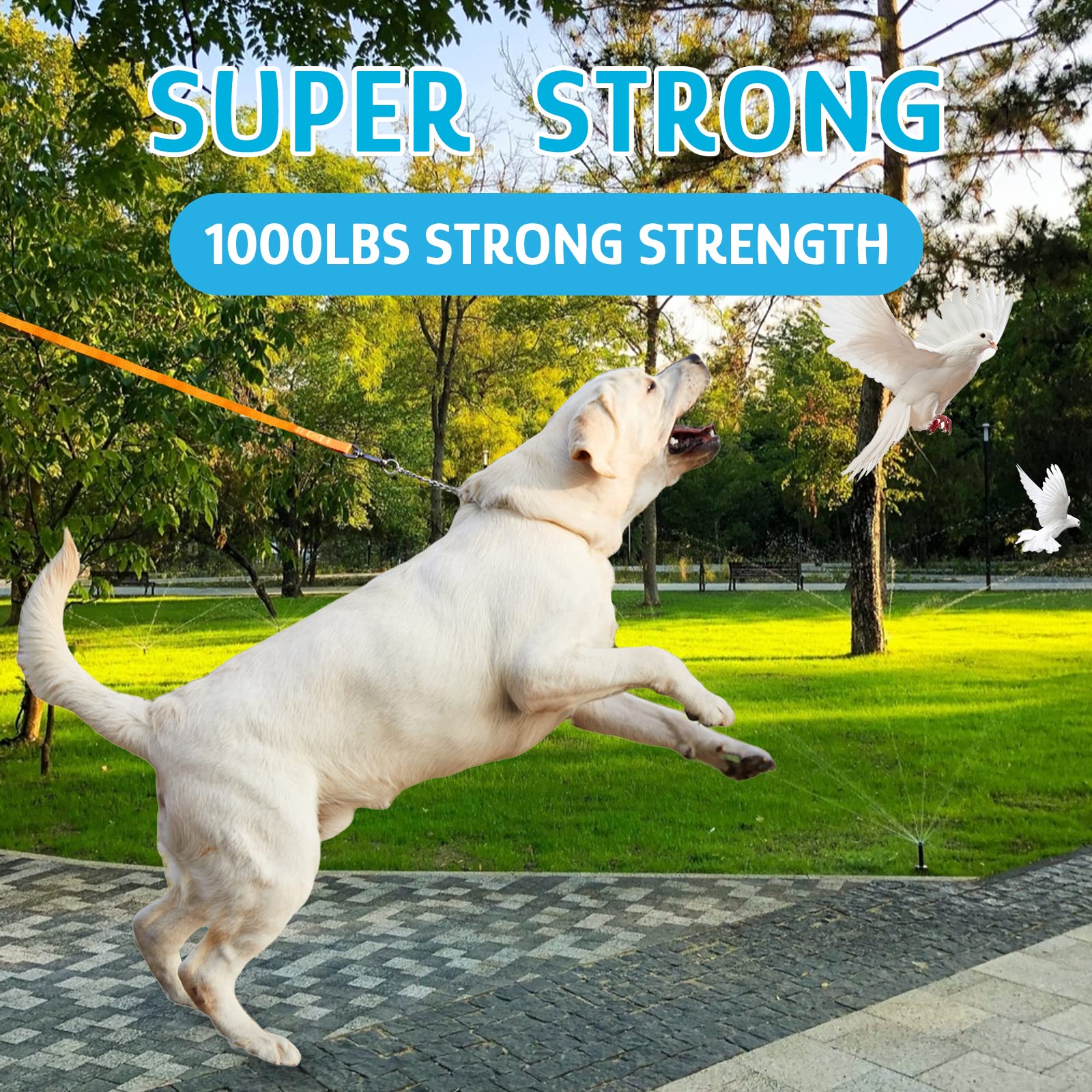 Chew Resistant, Float on Water Dog Training Leash, Wear-Resistant Leashes, Heavy Duty Hook Safe Handle Reflective Lead for Dogs-15ft 20ft 30ft 40ft