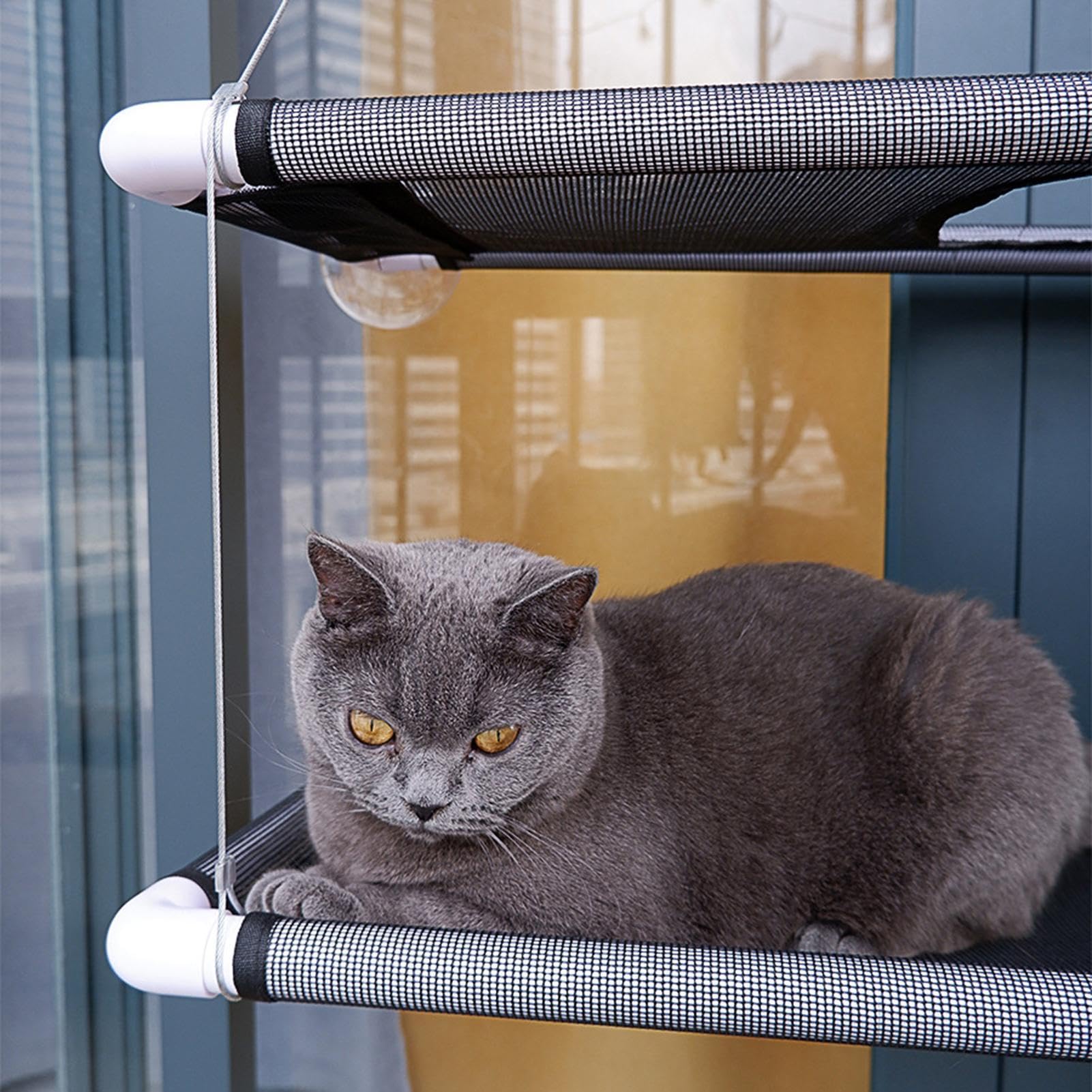 Katzen Fensterbett Saugnapf