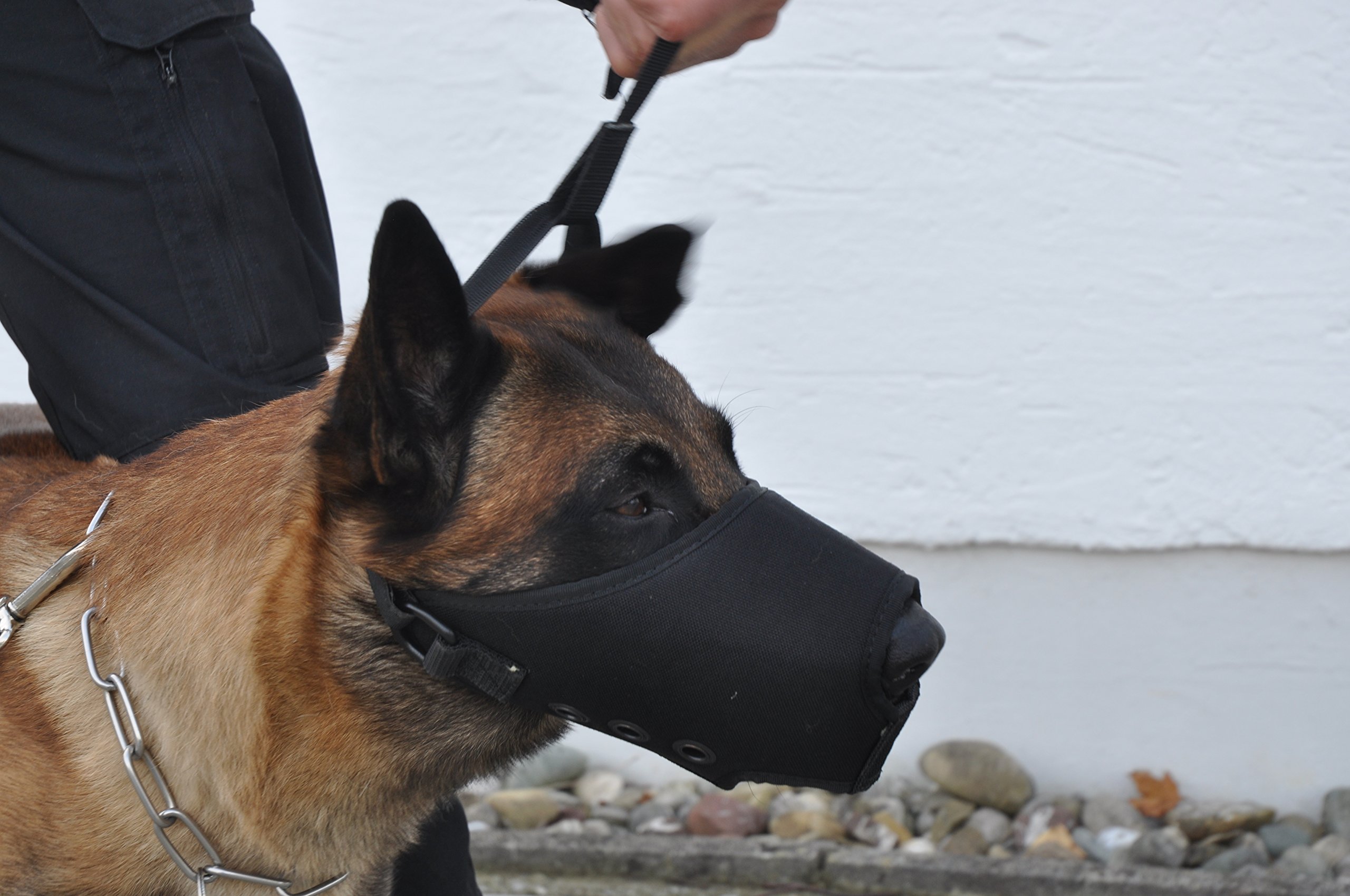 COP® K9 Beisskorb Quick Release (schnell abnehmbar), Cordura® / schwarz, Gr. L