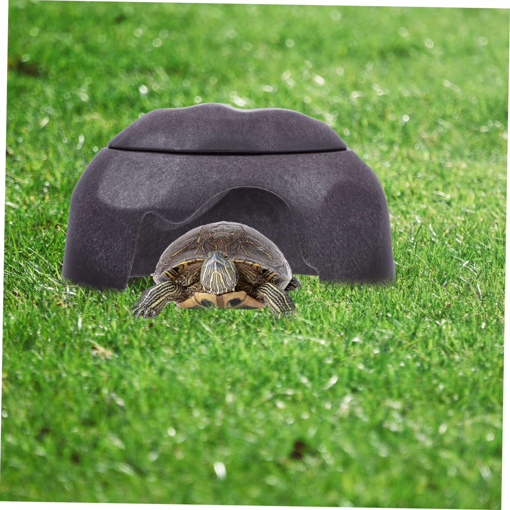 DOITOOL 1set Accessori Per Rettili Per Tartarughe Con Design Realistico e Resistente All Habitat Versatile Per Acquatici e Terrestri Nascondiglio Multifunzionale Per e