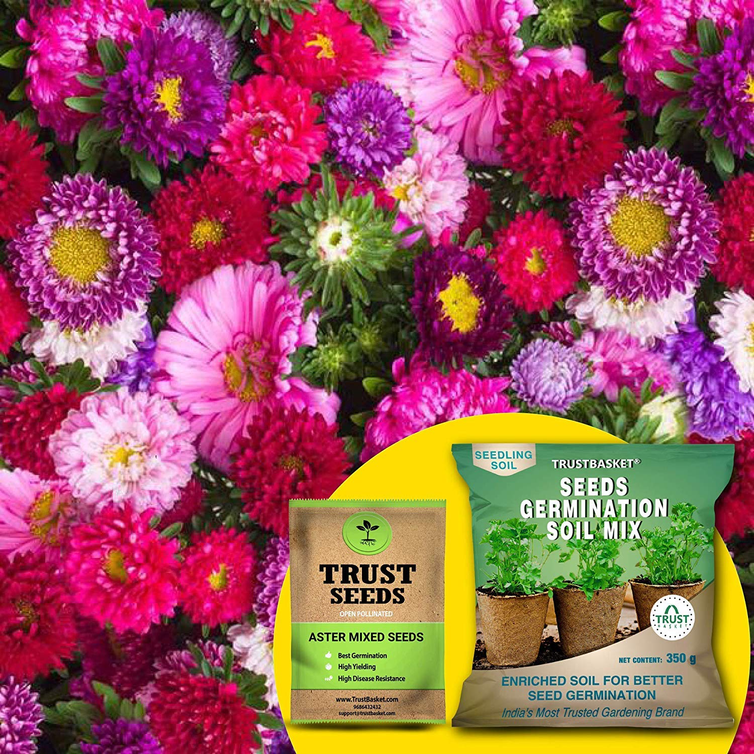 TrustBasket Premium Aster Mixed (OP/Desi) Seeds with Free Germination Potting Soil Mix | Sow and Grow Fresh Healthy Seed in Your Garden Perfect for Home & Terrace Gardening