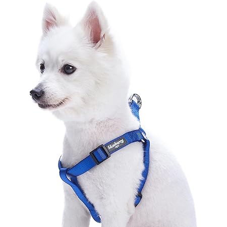 Caesar millan dog harness Clearance