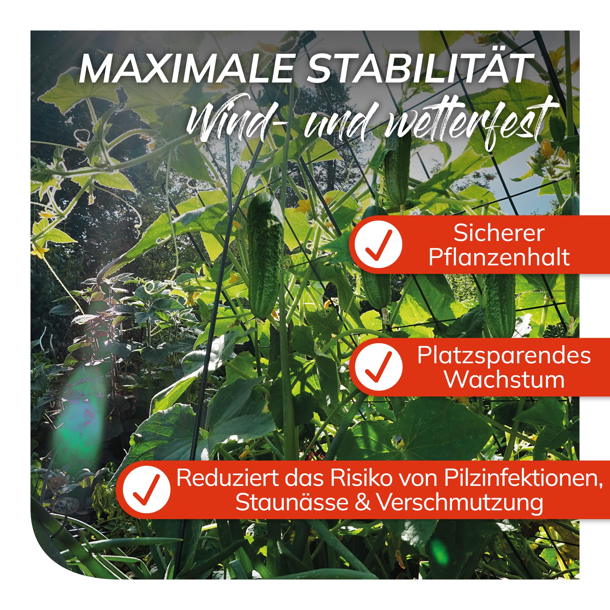 bellissa 1 Stück - Gurken-Gitter und Rankhilfe für Gurkenpflanzen und Gemüse – Rank- für Topfpflanzen grün 121x77 cm