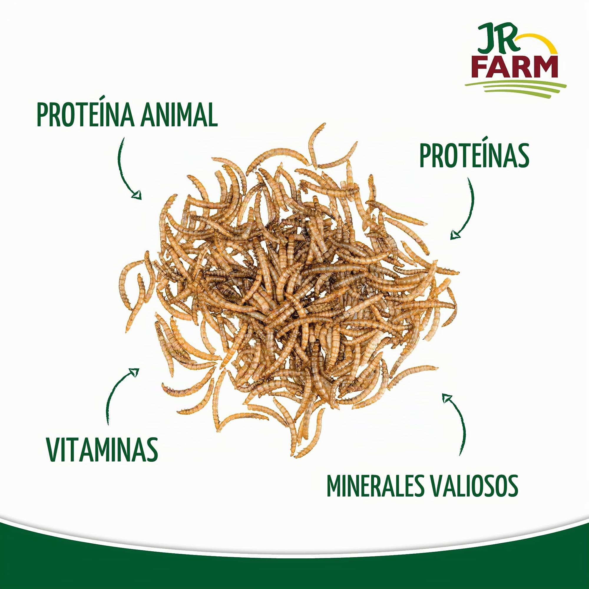 JR Farm Garden - Gusanos de harina (10 kg)