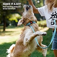 Vista 82 de CollarDirect Reflective Dog Collar for a Small, Medium, Large Dog or Puppy with a Quick Release Buckle - Boy and Girl - Nylon Suitable for Swimming