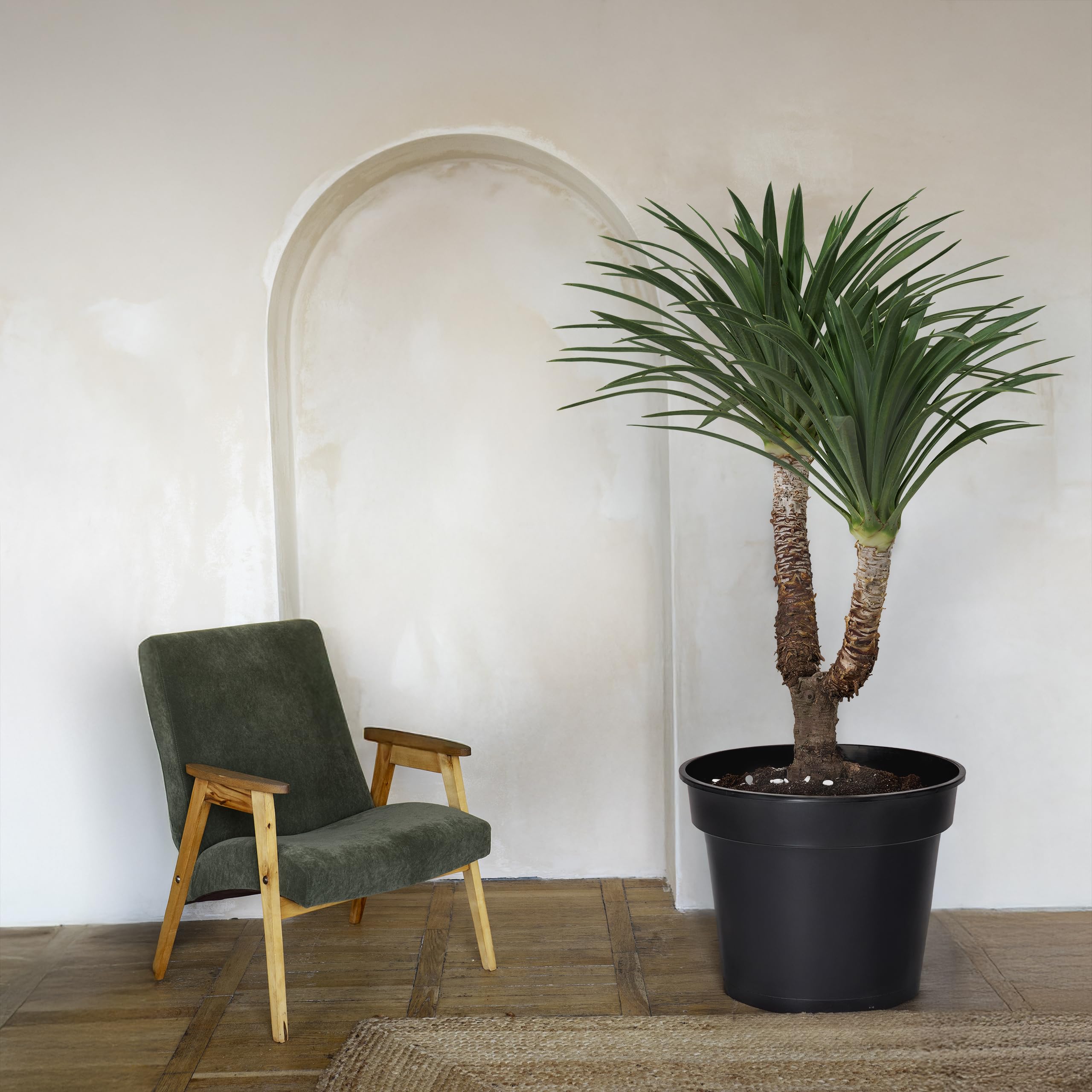 Garronda Vasi per Piante Rotondi in Plastica da Esterno e da Interno per Fiori e Giardini GD-0025 (10 Pezzi - Nero, ⌀ 39 cm H 28,5 cm)