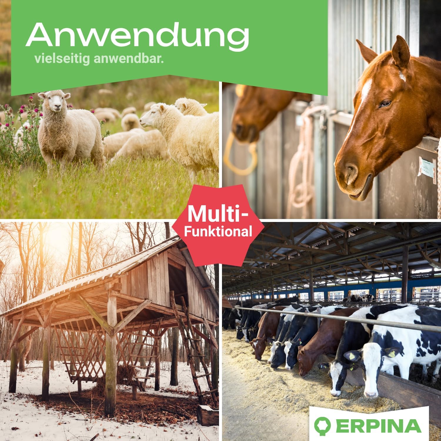 5er Pack Lecksteinhalter Pferd pink - für 10 kg Lecksteine ohne scharfe Kanten - stabiler Salzsteinhalter bruchsicher aus Kunststoff für Pferde, Rinder, Wild - für Hof & Stall
