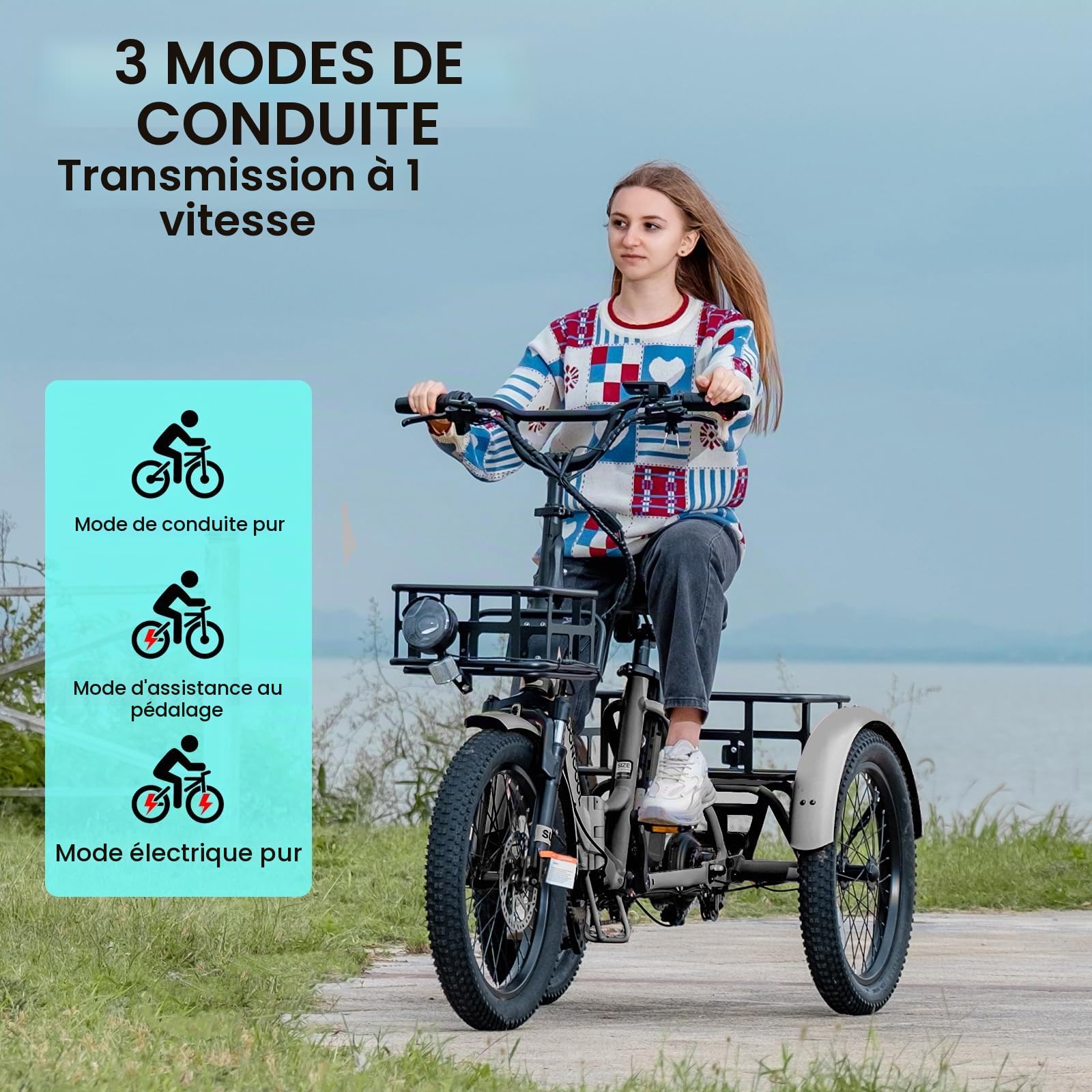 MOONCOOL VéLo Pliable E Bike, VéLo éLectrique 20 Pouces pour Hommes Et Femmes avec Batterie 36V 20 Ah, Moteur 250W, éCran LCD, Vitesse 25 Km/H, IP65, 45 NM, avec Grands Paniers