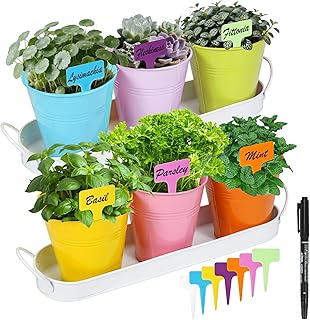 Herb Garden Planter Indoor Kit – 6 Metal Pots with 2 Trays for Windowsil...