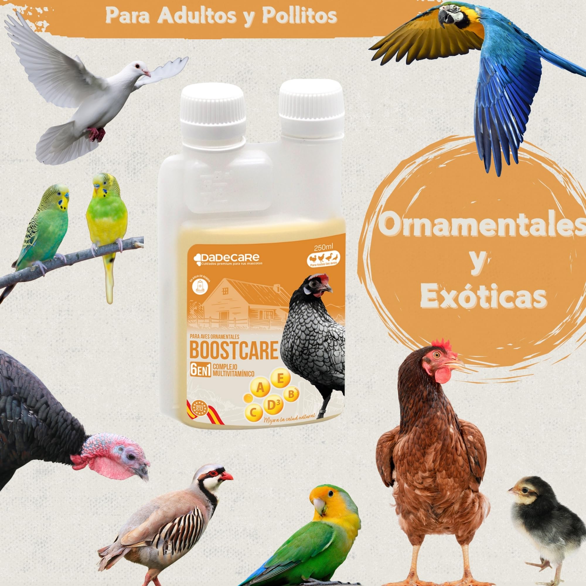 Multivitamínico 6 en 1 250ml Aves | Vitaminas A-E-D-C-B| Pienso Complementario para Bebedero Gallinas, Pollos, Palomas, Loros y Periquitos con Dosificador - Boostcare