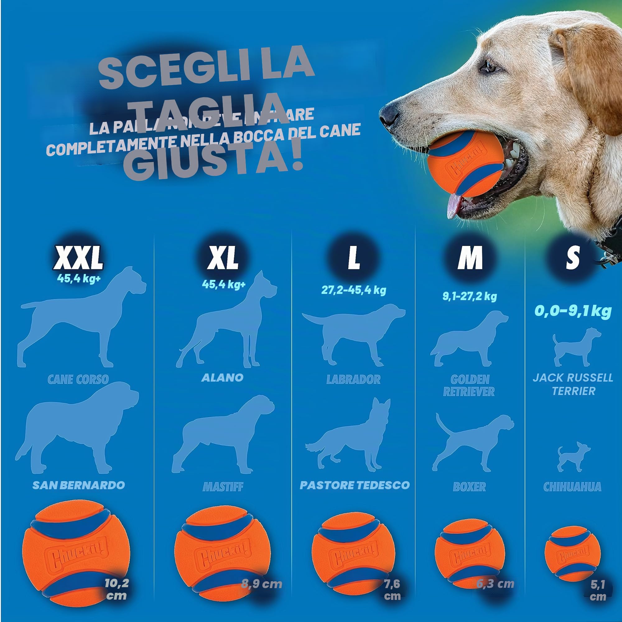 Chuckit! – Lanceur Fetch & Fold 25M – Lanciapalle per Cani - Lanciatore per Cani Pieghevole - Lanciatore Compatibile con Palline Medie - Viene Fornito con 1 Fetch Ball Medium