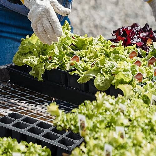 Miniatura 8 de Yard Yard 200 bandejas de plántulas para enchufes, 20 unidades de contenedores reutilizables para plantas de cultivo de vivero, germinación de