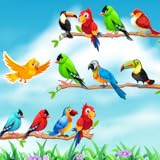 Colorful birds in bird puzzle sorter color game offline