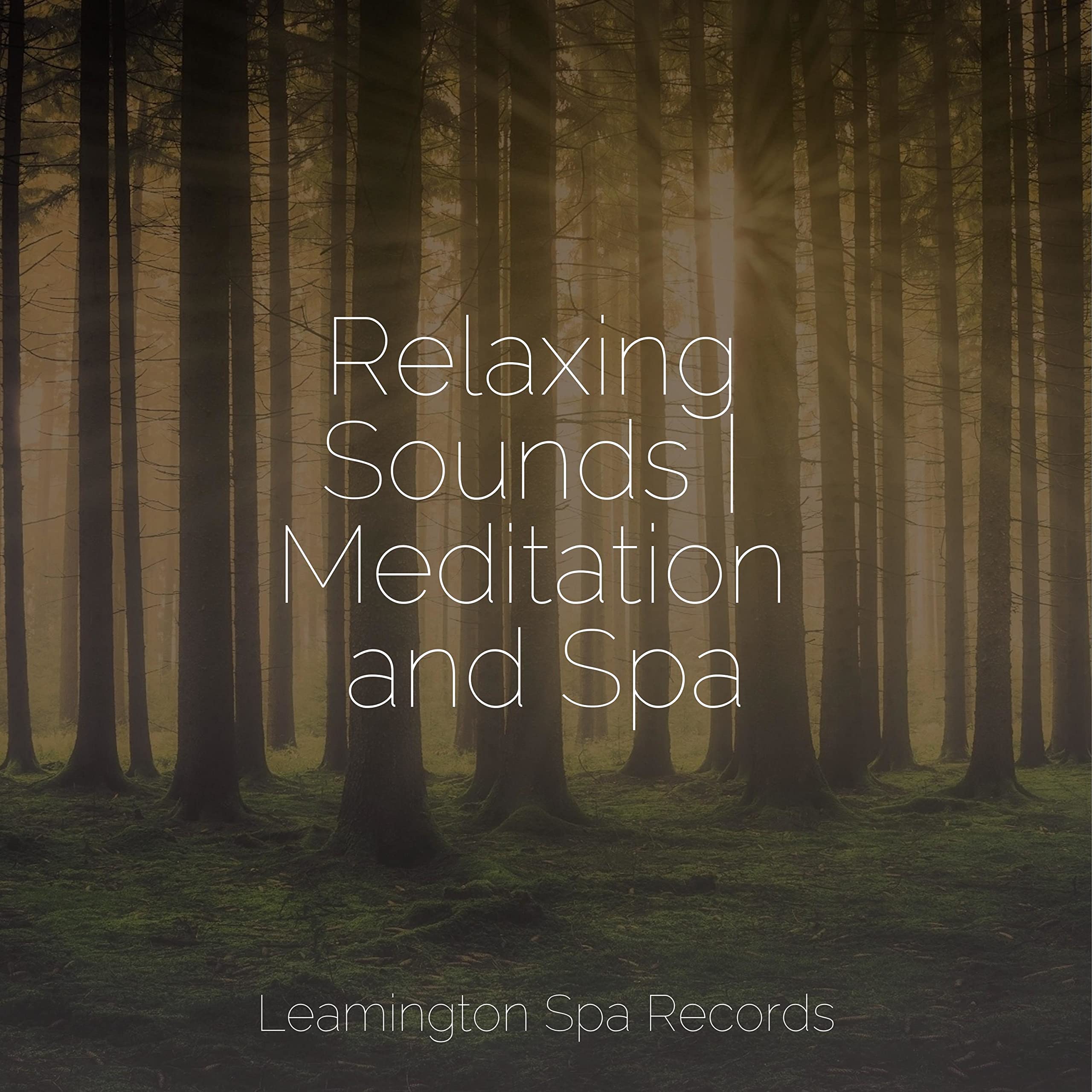 mindfulness exercises with music – Image 6