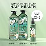 Herbal Essences Pure Plants Eucalyptus Sulfate Free Shampoo, Scalp Balance, with Certified Camellia Oil and Aloe Vera, For All Hair Types, Especially with Dry Scalp, 400 mL