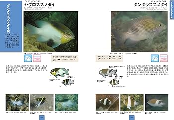 81Av3RNsGfL._AC_UF350,