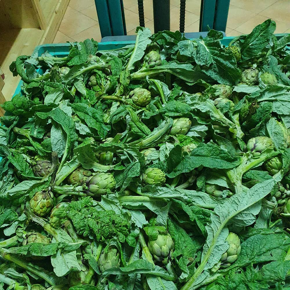 Alcachofas en aceite de oliva virgen extra ecológico violeta de Apulia 320g