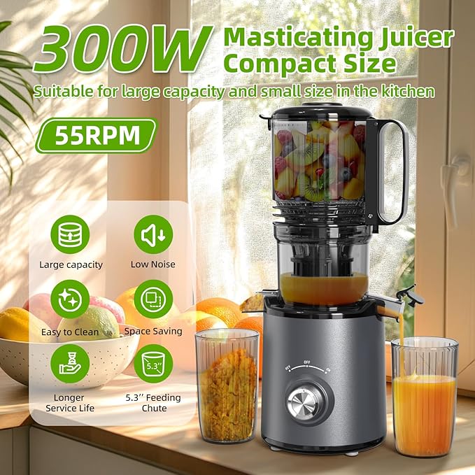 Extractor de Jugos Prensado en Frío Boca Ancha 300W miniatura 3