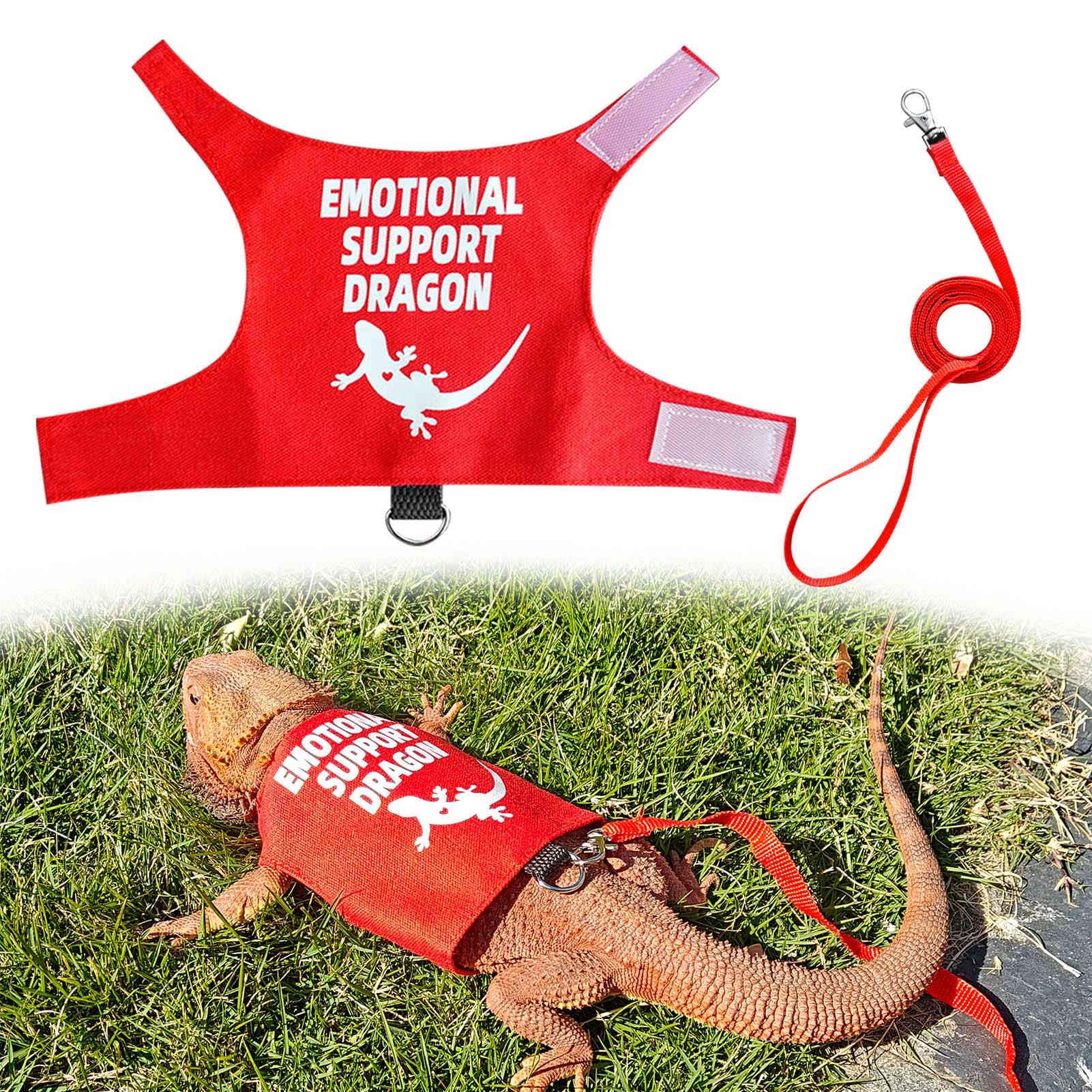 Romansk Bearded Dragon Harness and Leash Set