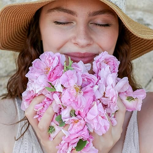 Miniatura 4 de Rosense Juego de descubrimiento de agua de rosas, selección de agua de rosas, 1.7 onzas, paquete de 4