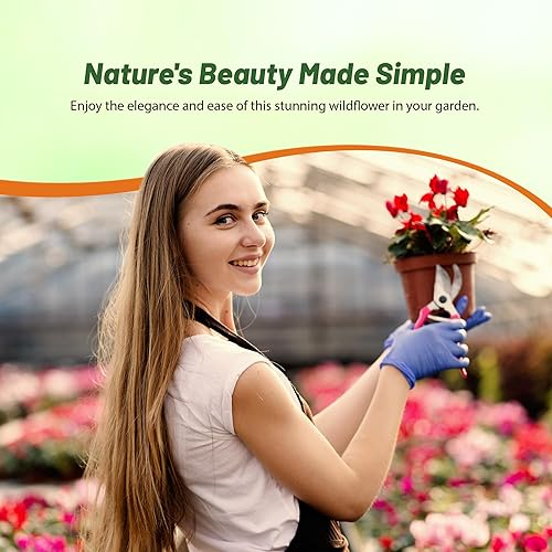 Miniatura 6 de Outsidepride Clarkia Flores silvestres para todas las regiones de los Estados Unidos, condiciones especialmente secas, 5000 semillas