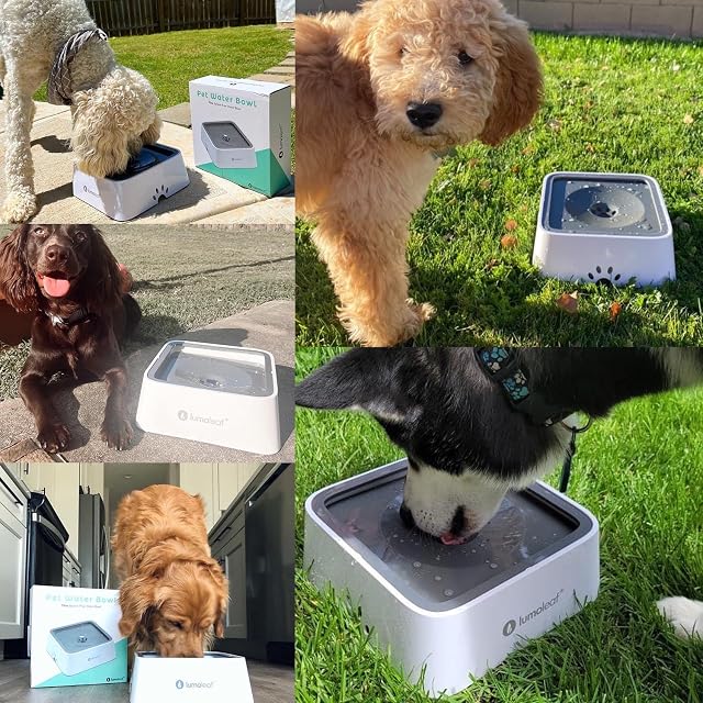 Foto 6 de 7 de LumoLeaf Cuenco de agua para perros, 60 oz/2 l de gran capacidad, sin derrames