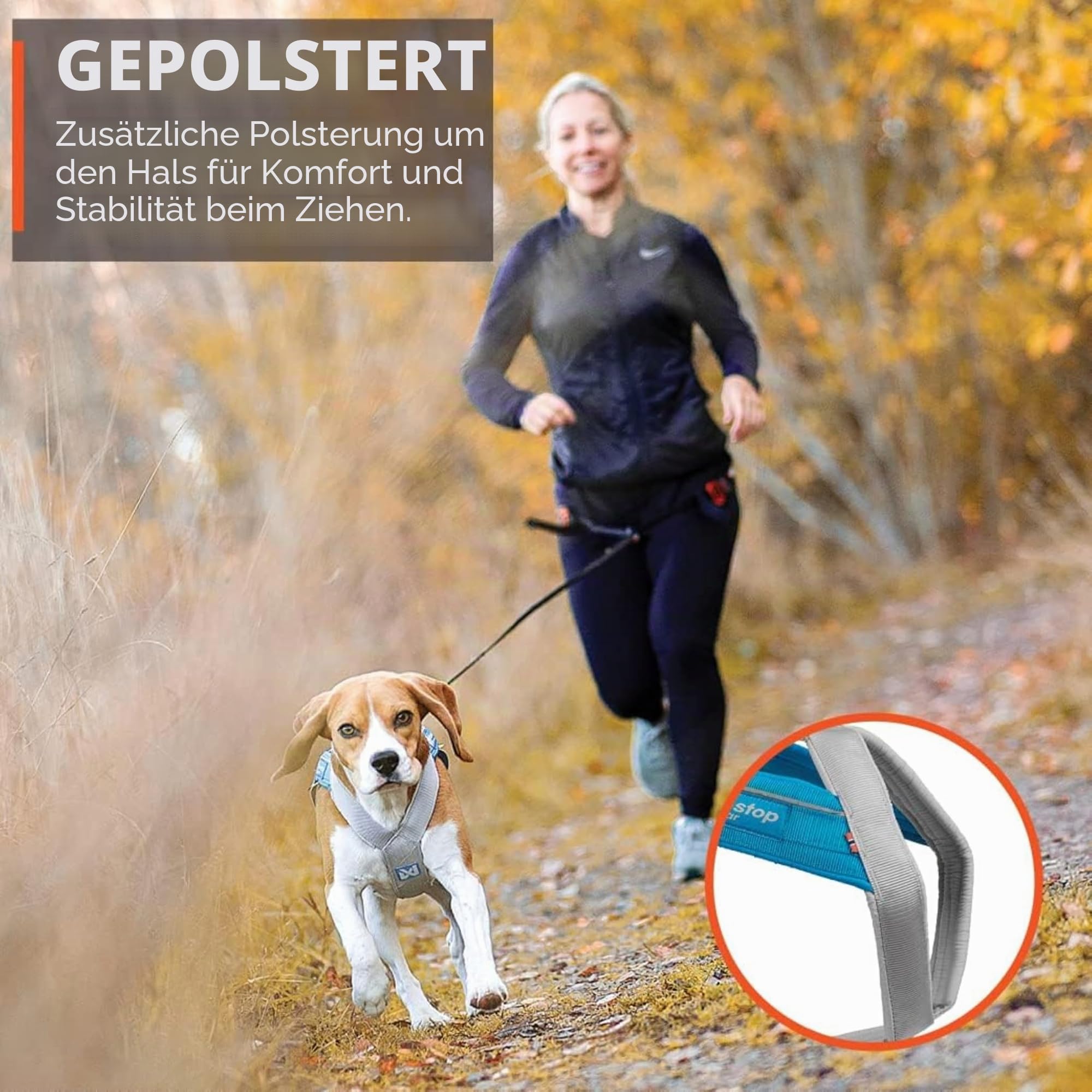 Non-Stop dogwear FREEMOTION Harness 5.0 |111| Hundegeschirr für alle Sportarten, Größe:7