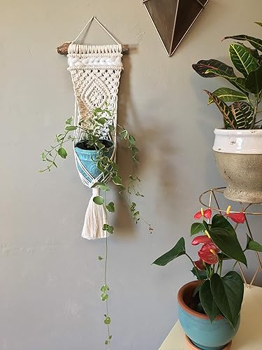 Miniatura 5 de WILD COTTON Fiber Arts Macrame Plant Hanger Indoor Wall Hanging Planter Basket Long Flower Pot Holder Boho Home Decor, 30 Inch