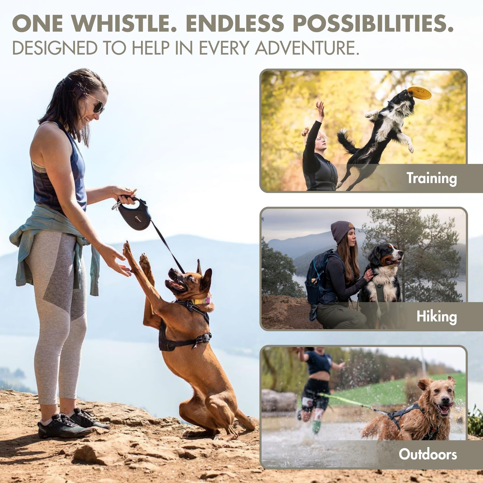 Amazon.com : Logan Whistles A1 Anodised Alloy Sheepdog Whistle
