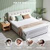 Product Photo 9