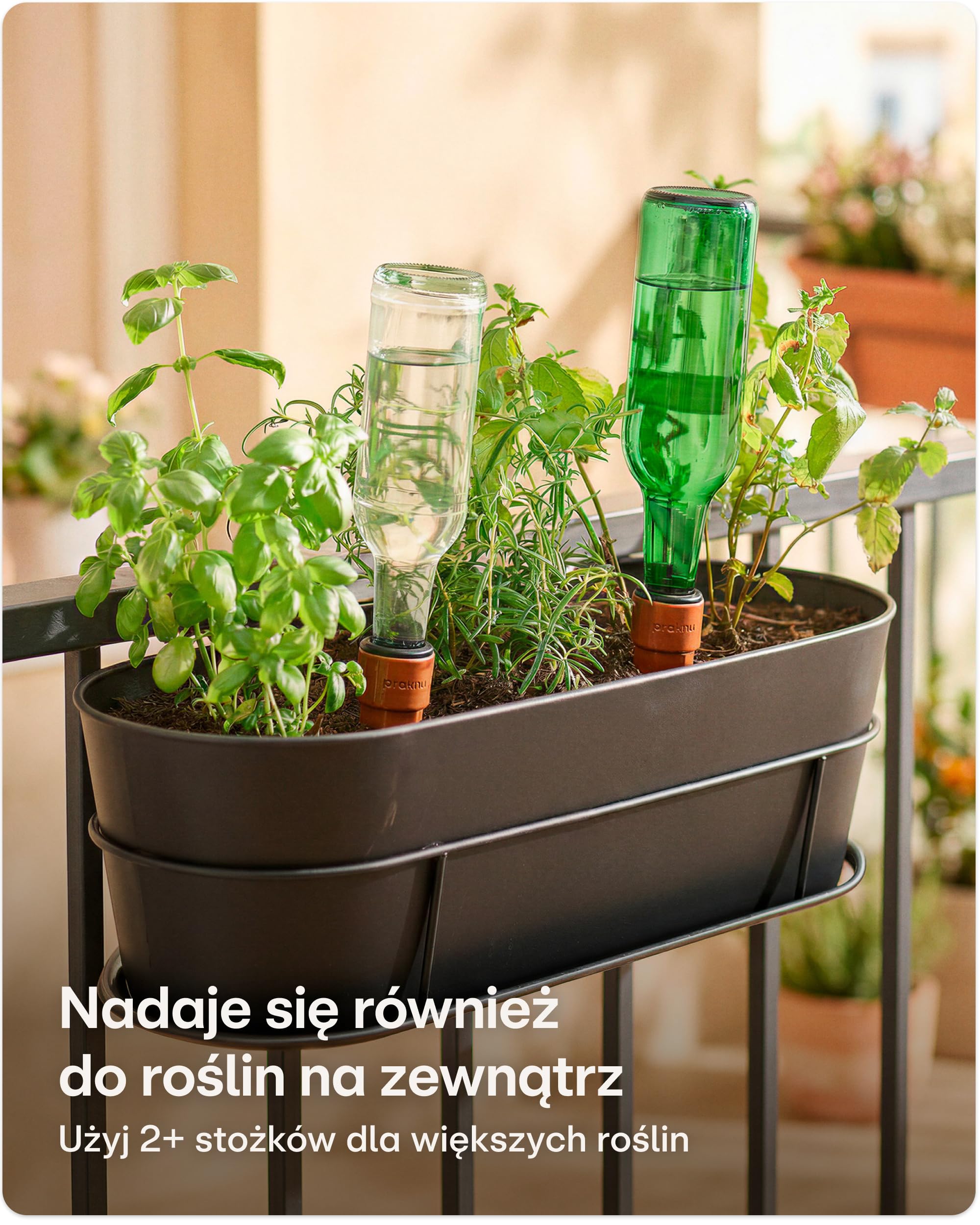 Praknu 6 x Stożki Nawadniające z Terakoty Mały – Do 10 Dni Automatycznego Nawadniania – Szczelny z Adapterem do Butelek PET – Łatwy w Czyszczeniu – Dozownik Wody Idealny na Urlop | Szczelny z adapterem, dozownik wody na urlop, automatyczny system