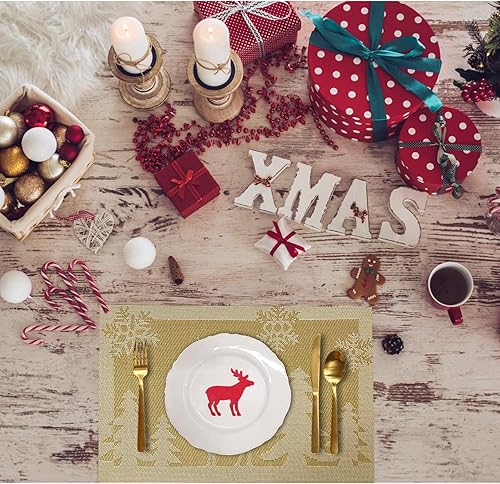 Miniatura 7 de Juego de 6 manteles individuales de vinilo tejido antideslizante, lavables, manteles individuales antideslizantes para la mesa de la cocina