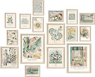ANERZA 16PCS Framed Sage Green Matisse Wall Art - Boho Gallery Wall Prints Set for Bedroom, Living Room, Dorm Decor