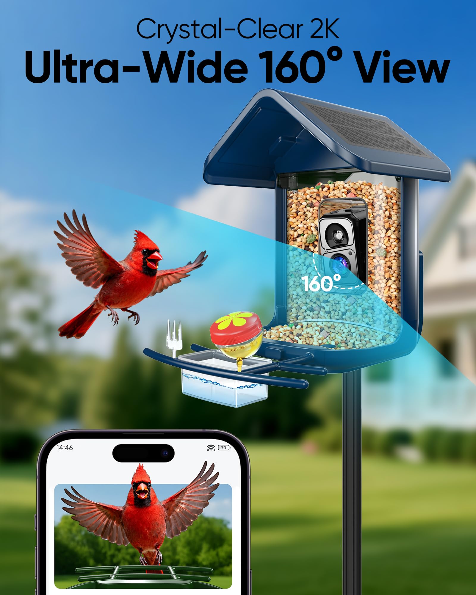Comedero para pájaros con cámara: alimentador de cámara inteligente para pájaros alimentado por energía solar 2K Live Feed para patio trasero, identificación de IA de captura automática