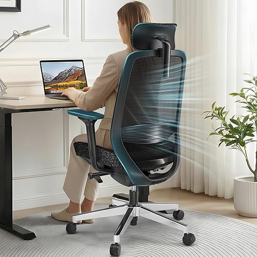 ErgoSift M2 Office Chair Ergonomic Desk Chair High-Back Mesh Desk
